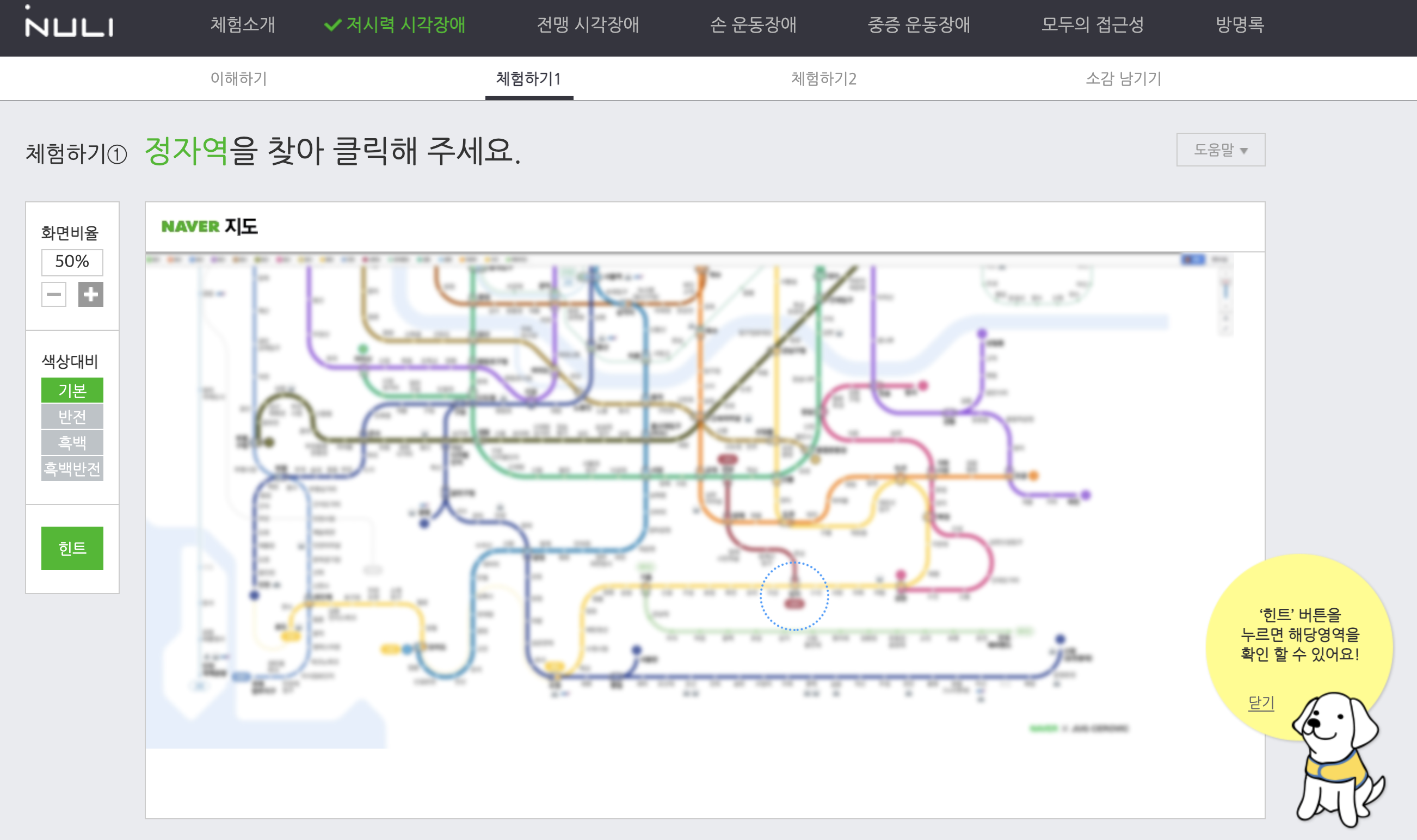 저시력 장애 체험